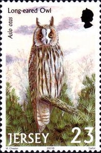 2001 Jersey Long-eared Owl Stamp - Postage Stamp Earrings