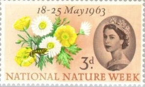 1963 Buttercup, Common Daisy, Honey Bee United Kingdom Stamp - Postage Stamp Necklace
