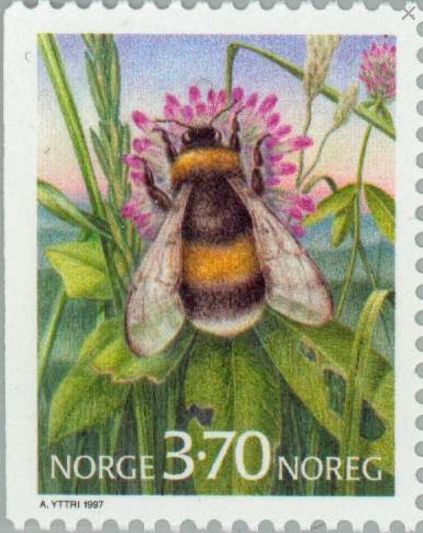 1997 Norway Bee Stamp - Postage Stamp Earrings