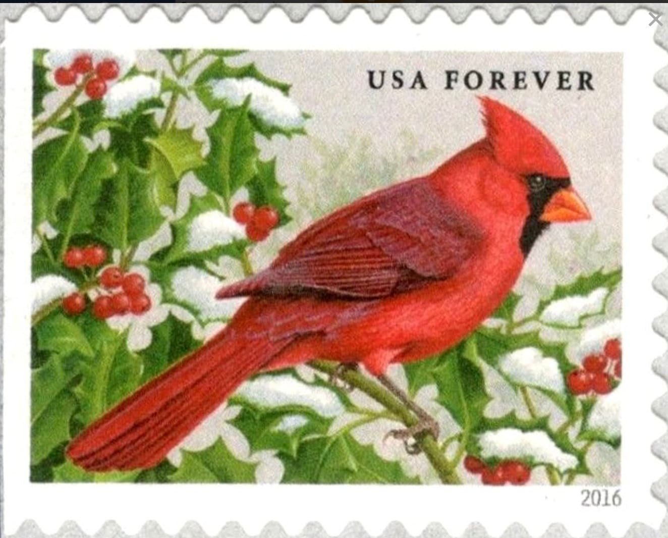 2016 Northern Cardinal - USA Stamp - Postage Stamp Earrings