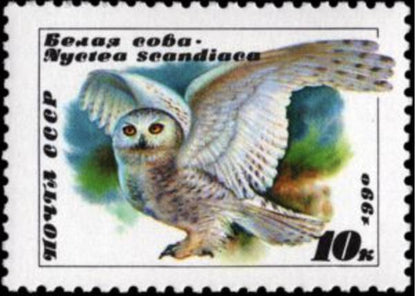 1990 USSR Owl Stamp - Postage Stamp Necklace