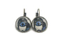 2025 Baby Wild Animals USA Stamp - Postage Stamp Earrings