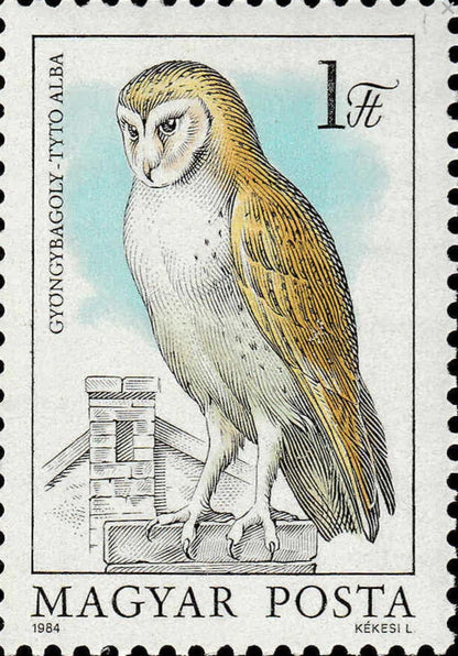 1984 Western Barn Owl - Hungary Postage Stamp Jewelry - Vintage Postage Stamp Necklace - Antique Bronze Finish