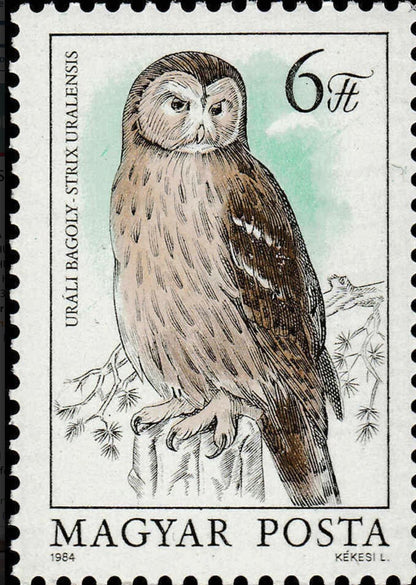 1984 Ural Owl - Hungary Postage Stamp Jewelry - Vintage Postage Stamp Necklace - Antique Bronze Finish