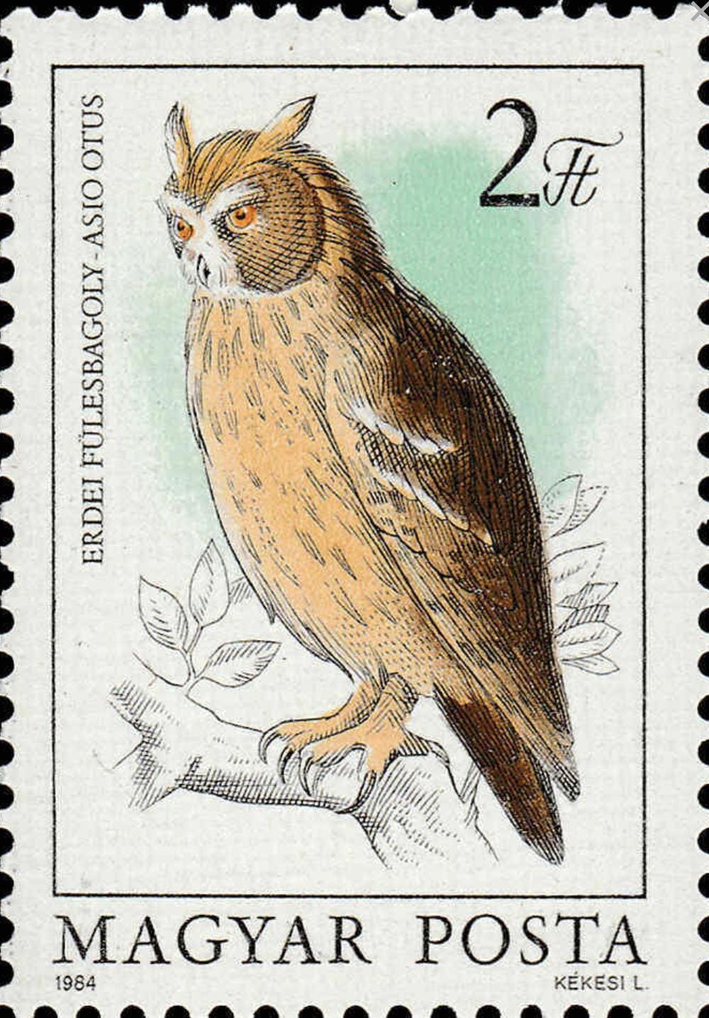 1984 Long-eared Owl - Hungary Postage Stamp Jewelry - Vintage Postage Stamp Necklace - Antique Bronze Finish