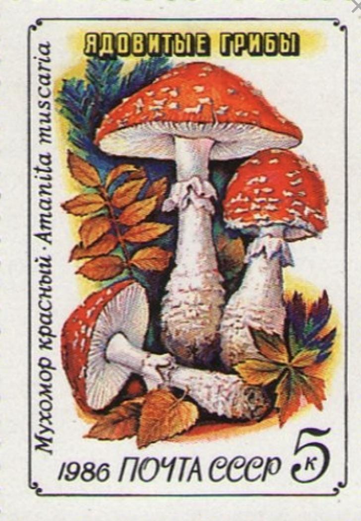 1986 Mushroom  - USSR United States Stamp - Postage stamp jewelry - Postage Stamp Necklace