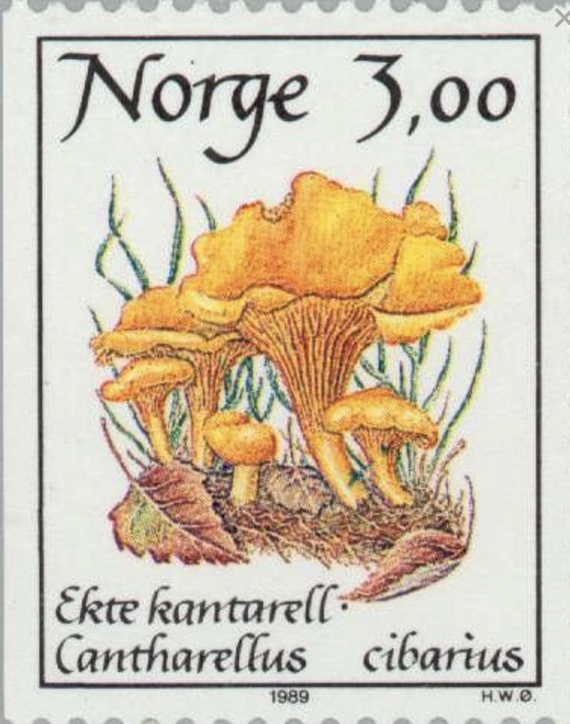 1989 Chanterelle - Norway Postage Stamp Jewelry - Vintage Postage Stamp Necklace - Antique Bronze Finish