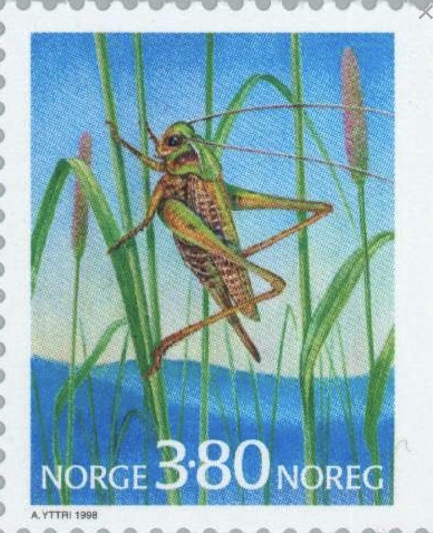 1998 Locust - Norway Stamp - Postage stamp jewelry - Postage Stamp Necklace