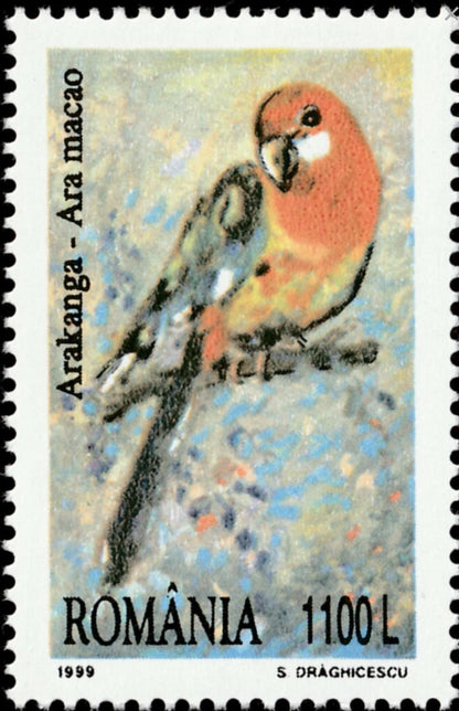 1999 Scarlet Macaw - Romania Stamp - Postage stamp jewelry - Vintage Postage Stamp Earrings - French clip earrings in antique bronze finish